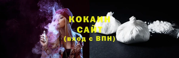 гашик Белокуриха