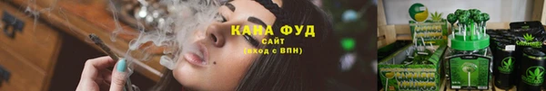 гашик Белокуриха