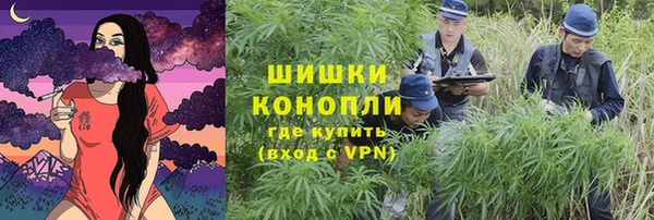 трава Переславль-Залесский