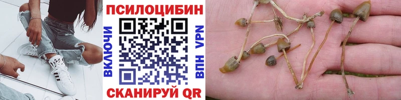 купить закладку  ссылка на мегу рабочий сайт  Галлюциногенные грибы ЛСД  Шенкурск 