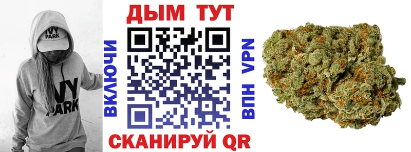 ОМГ ОМГ как войти  Шенкурск  Бошки марихуана Bruce Banner 